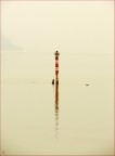 dico solo una cosa...

adoro questi colori...
quindi intule ke mi diciate che sono troppo innaturali..

ma questa foto mi piace soprattutto per il tono caldo

Critiche e dommenti sempre graditi