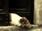 Guardiano