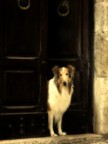 Guardiano 2