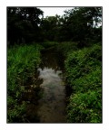 L'Acqua nel Verde