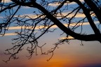 Controluce 3