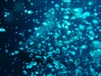 Le mille bolle blu