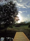 Guardando l'argine.