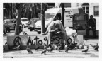 Lisbon story