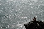 Come mio stile, un'immagine catturata al volo senza soffermarmi troppo sulla "tecnica".

Attendo critiche

Grazie

Valerio