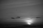 da Pentax k110d