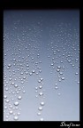 Water hole