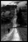 la strada