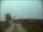 fake Holga