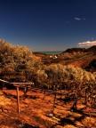 Unknown Viewpoint