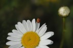 L'attesa