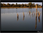 Reflections..pt.2