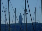 Fuji S6500fd
300mm
f8
800s
iso100