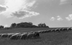 paesaggio sereno