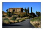Casale