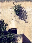 scorcio laertino