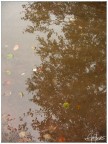 after the rain #1