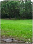 after the rain #2