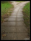 after the rain #3