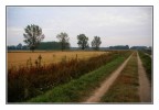 I colori del primo autunno #2