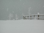 Silenzio