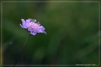:: Un tocco di colore...