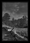 Bianco Nero Pentax K10 Sigma 18-55 2.8
Oggi pomeriggio sopra Sauze d'Oulx