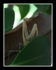 mi sto avvicinando al mondo della fotografia, quindi ogni commento e suggerimento e/o consiglio  graditissimo!
