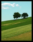 paesaggio marchigiano