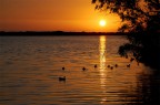 Lago di Fogliano