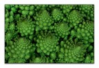 Macro-frattali