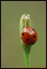300mm iso400 f11 1/6sec