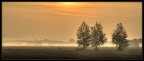 primo mattino