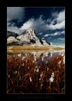Clouds Garden