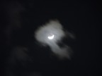 Immagine della Luna scattata sul tardi pomeriggio, con tempo un p nuvoloso. La foto non  elaborata. fuji s5500