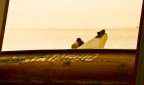 Salvati dall'amore Salvati dall'amore