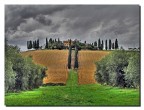 sulla collina