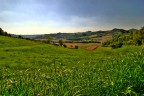 Scorcio di Cereseto