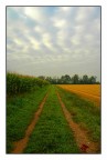 I colori del primo autunno #4