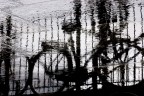 riflessi