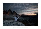 Nature is my Kingdom VII