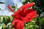 Test 40D in Jpg