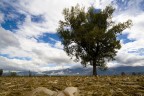 Paesaggio_Rieti3