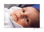 mattia