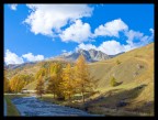 quadretto autunnale
