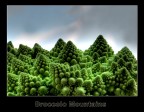 paesaggio vegetale