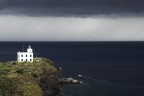 Isola di Capraia, questa estate..... e due...