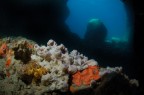 Santa Maria al Bagno (Nard)
-5 mt.