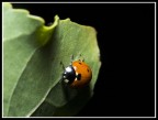 spunto fuori dall'oscurit