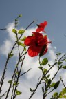 Test 40D in Jpg